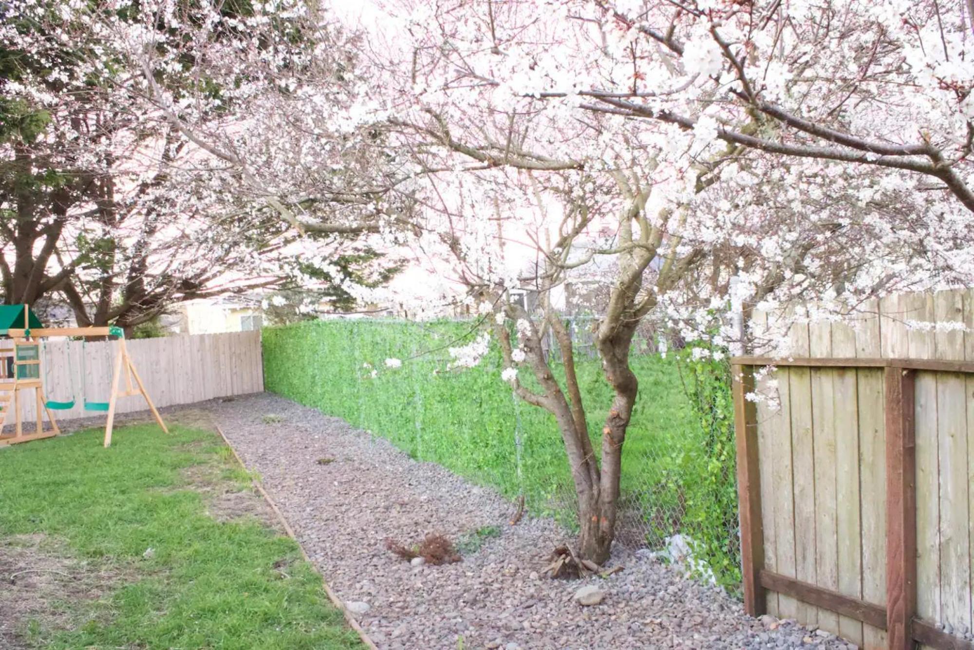 Private Home - Playground, Jumping Mat, Bbq, Darts, Firepit, Gazebo, 4 Smart Tvs, White Cotton Bedding, - The Redwood Cul-De Sac Beach Retreat Crescent City Exterior photo